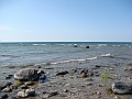 Western Michigan [2010] 793